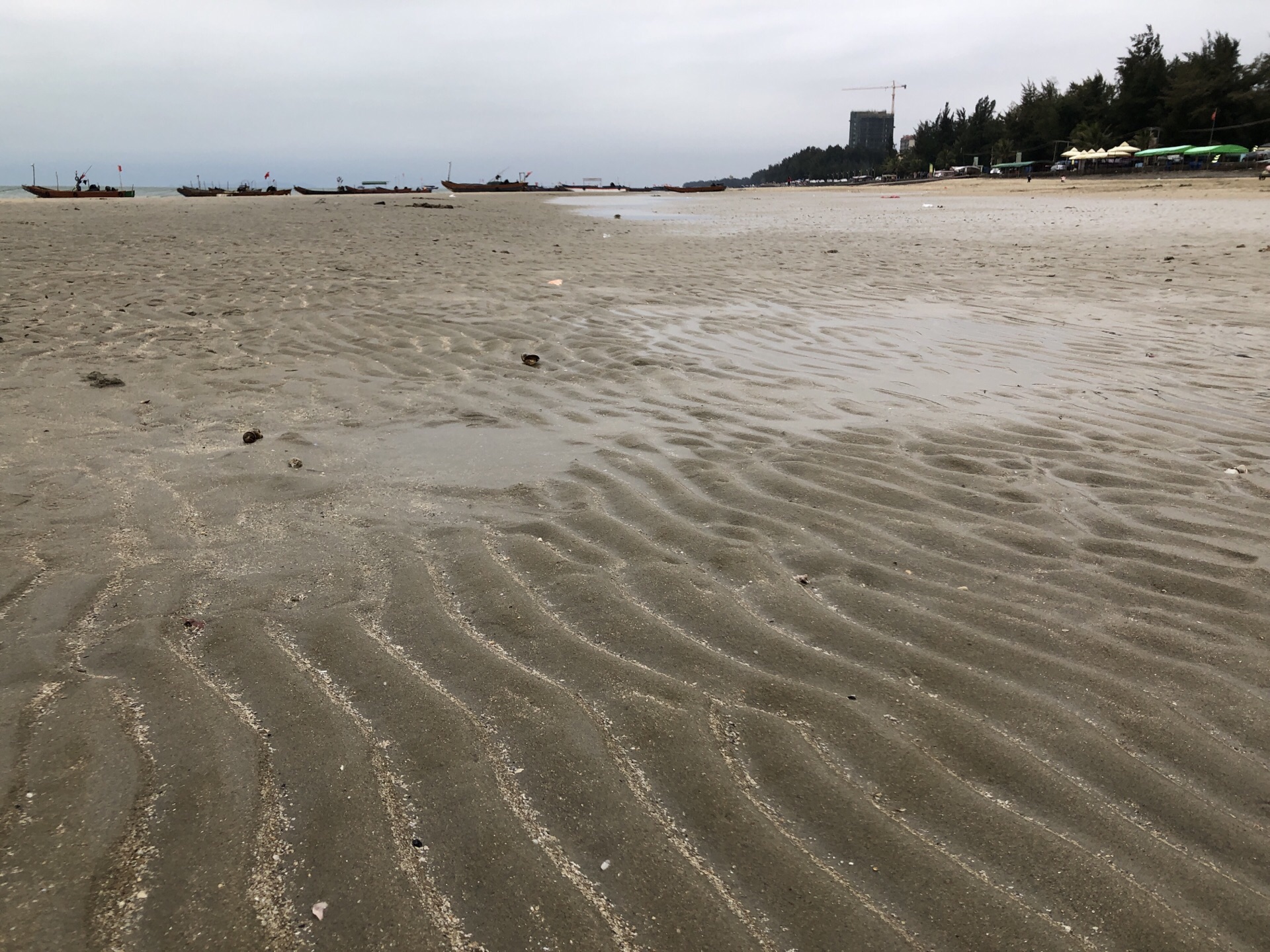 万尾金滩旅游景点攻略图