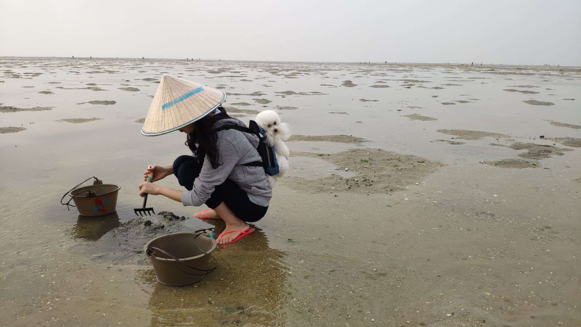 红树林天天赶海