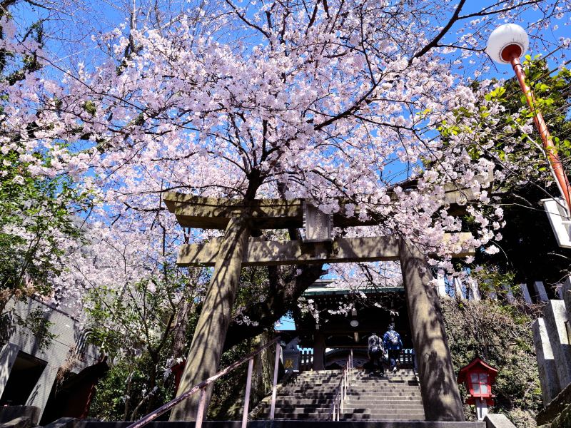 福冈爱宕神社攻略-爱宕神社门票价格多少钱-团购票价预定优惠-景点