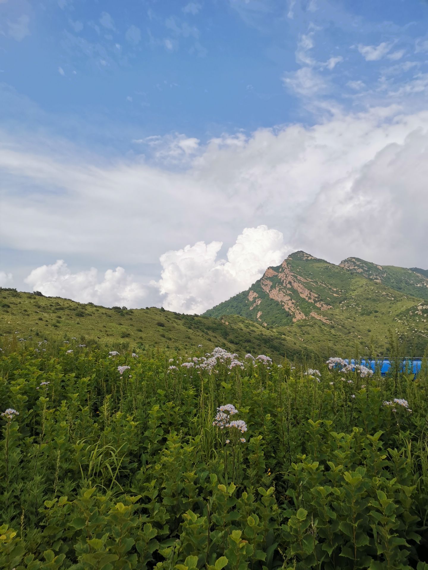 云中草原风景区