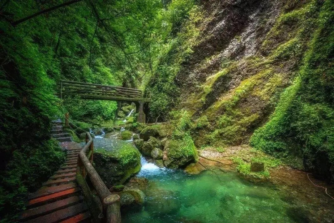 【携程攻略】青城山青城山景点,青城山分前山和后山.