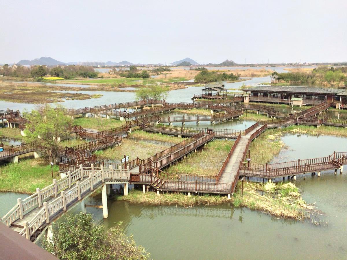 德清下渚湖湿地公园