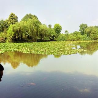 东湖公园