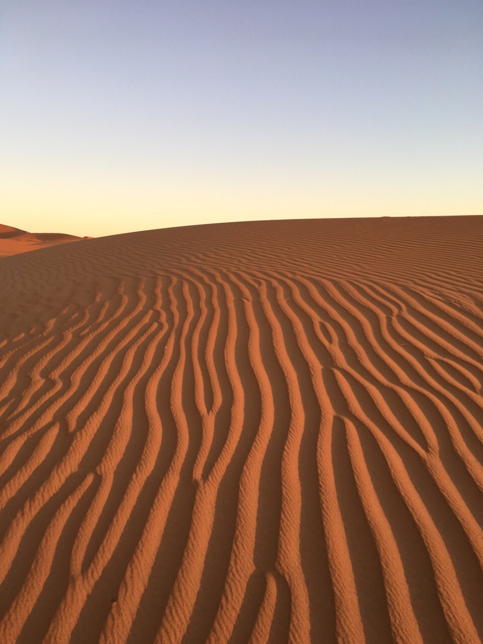 撒哈拉沙漠sahara desert