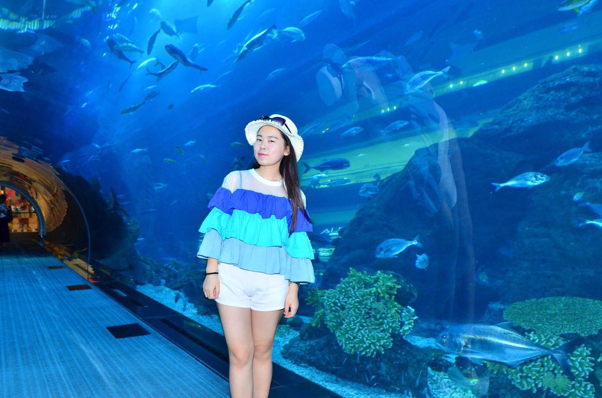 迪拜水族馆和水下动物园