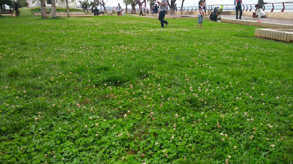 海埂公园