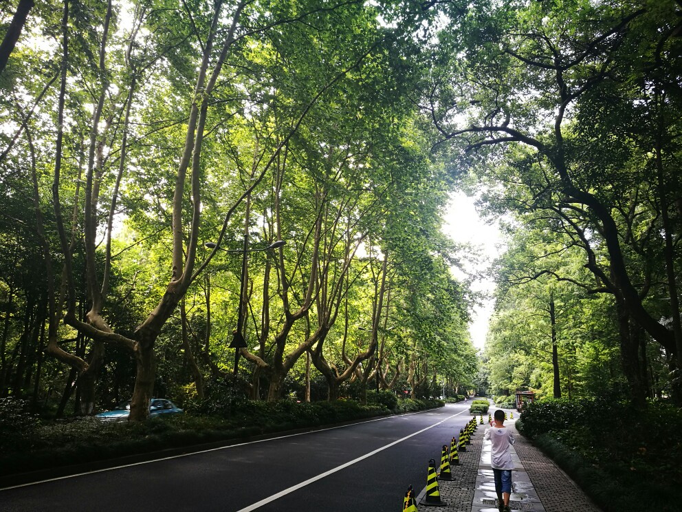 10月底去的杭州,行程:DAY 1: 西溪湿地;DAY 2:西溪湿地+西湖沿途(北山路)+印象西湖; DAY 3:九溪烟树+ 美院(象山校区);DAY 4:灵隐寺+返程 月初定下行程时,天气预报月底均是雨天、低温,心中 忐忑不已,但毕竟不是第一次到杭州,且安慰自己随遇而安~ &