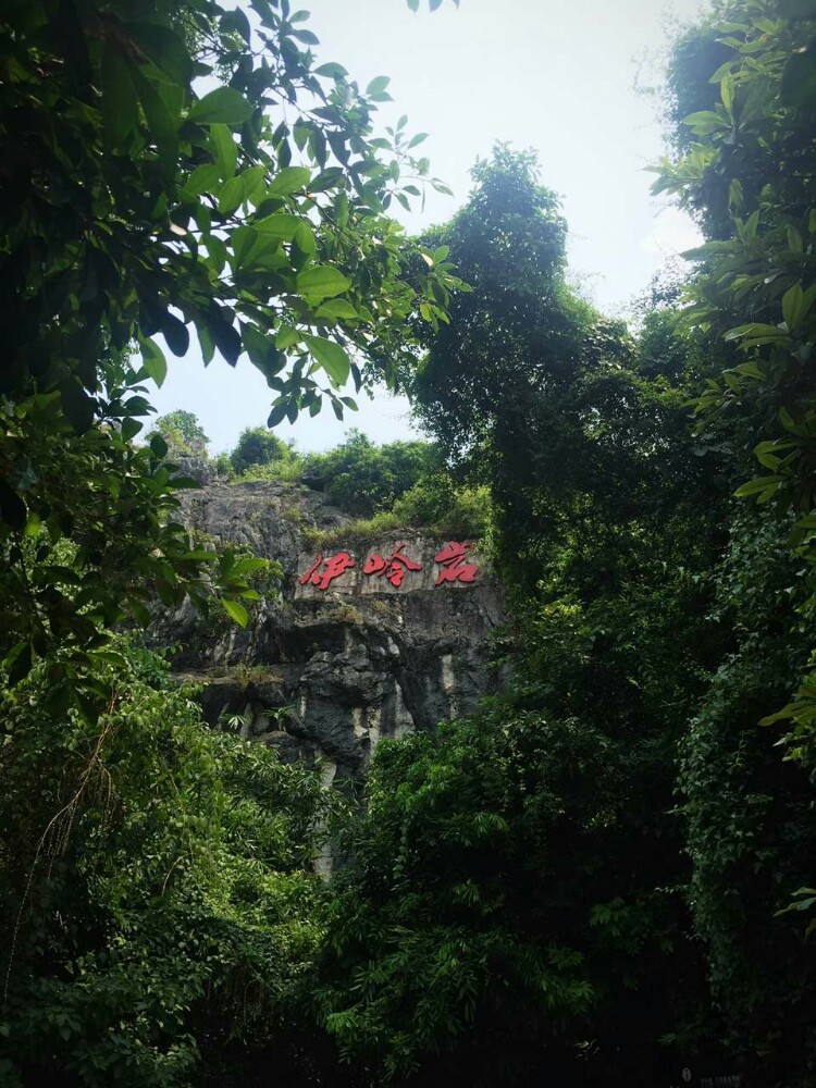 伊岭岩位于南宁北部,武鸣城区南部,是南宁周边最有名的一处喀斯特溶洞