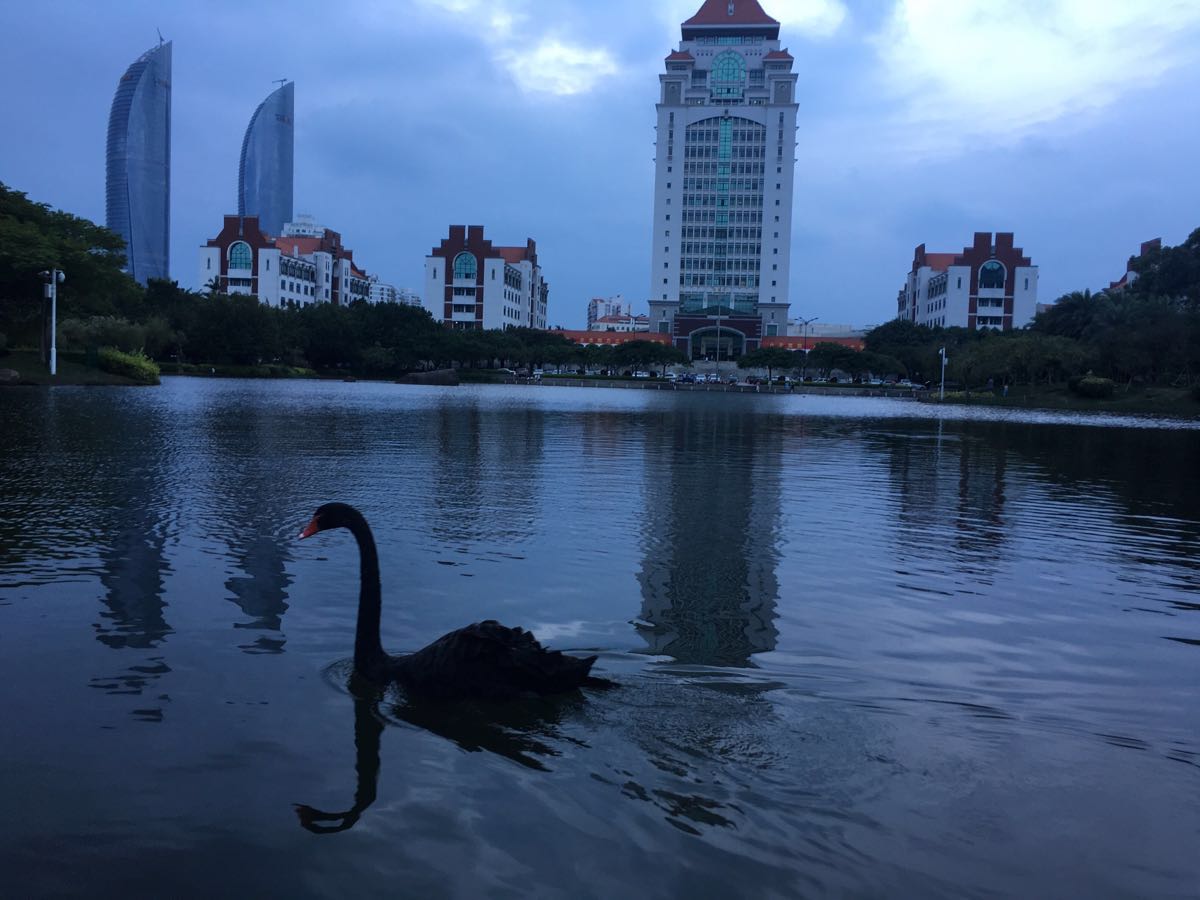 厦门大学旅游景点攻略图