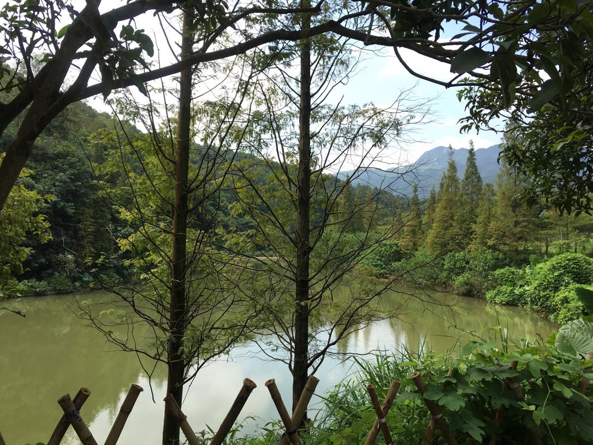 【携程攻略】佛冈田野绿世界景点,我觉得还不错吧，山清水秀，环境优美，有台湾民俗风情特色还有台湾正…
