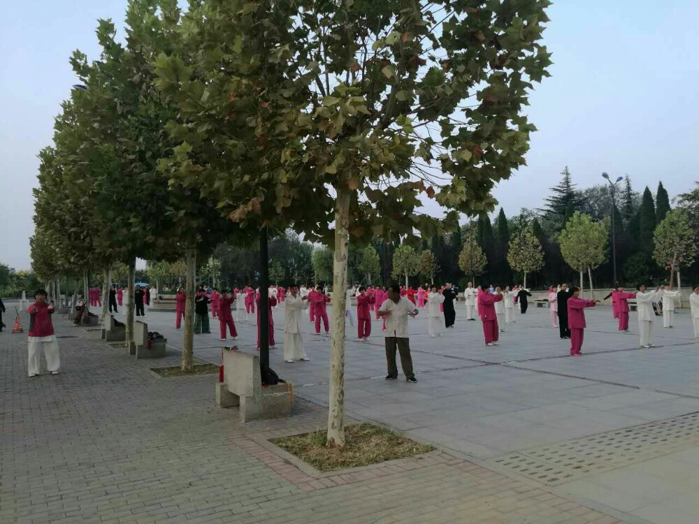 【携程攻略】河南郑州登封嵩阳公园好玩吗,河南嵩阳怎