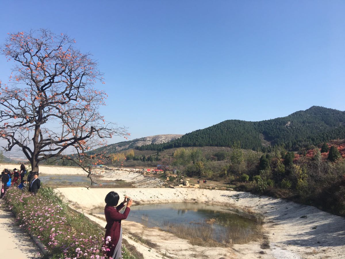 临朐官护山景区好玩吗,临朐官护山景区景点怎么样_点评_评价【携程