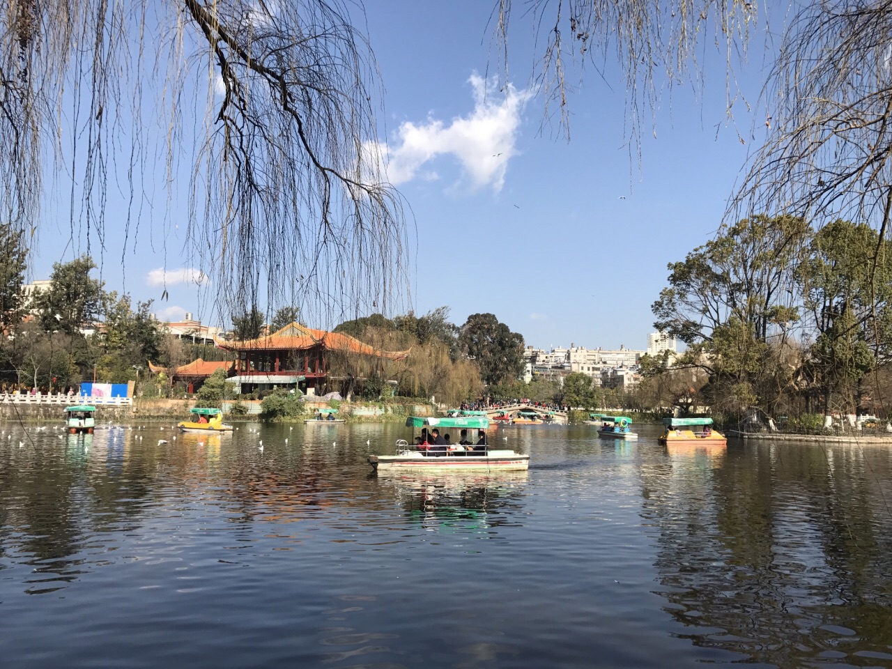 翠湖公园