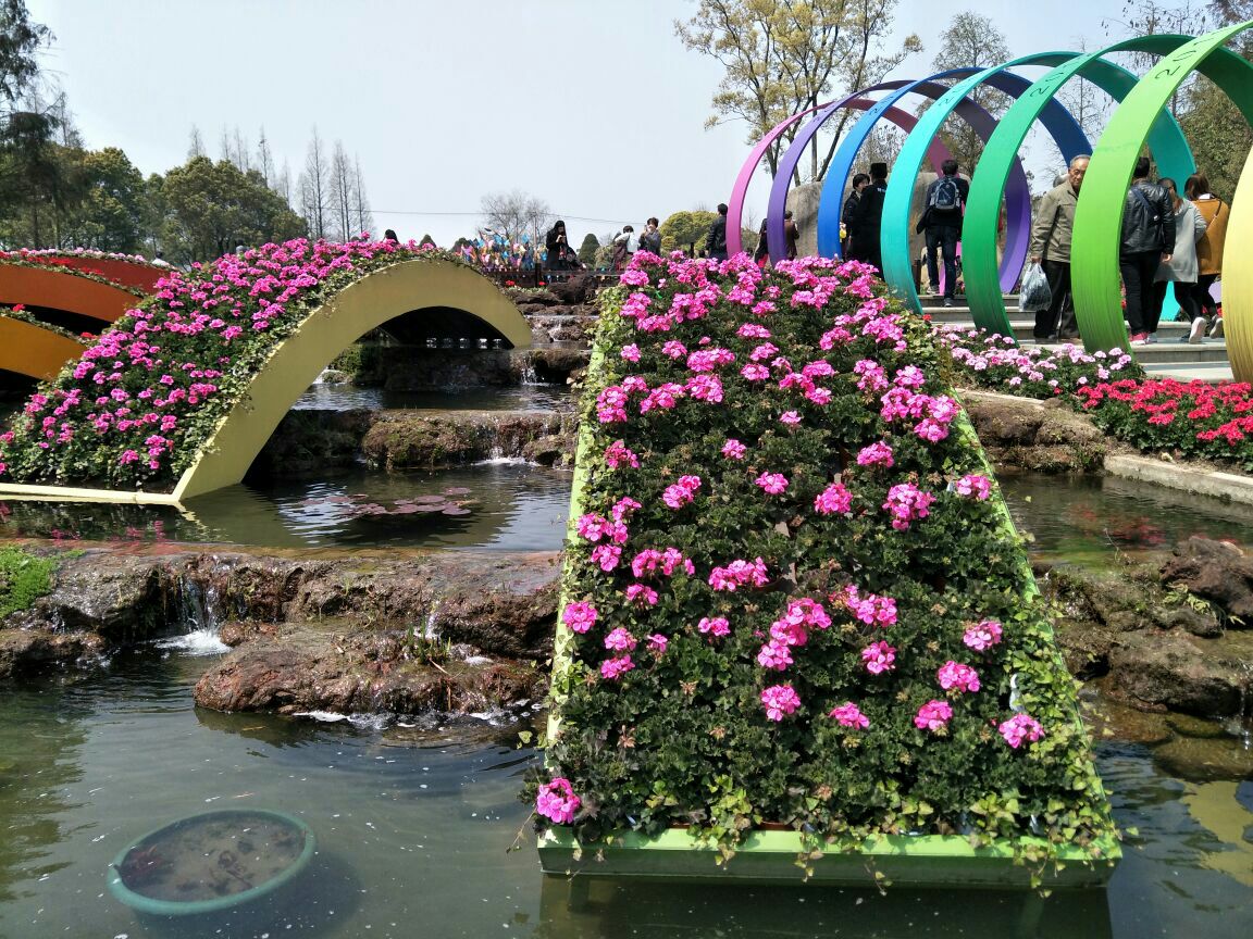 上海植物园旅游景点攻略图