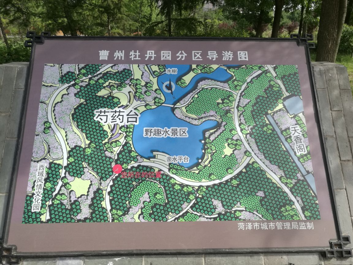 2019曹州牡丹园_旅游攻略_门票_地址_游记点评,菏泽