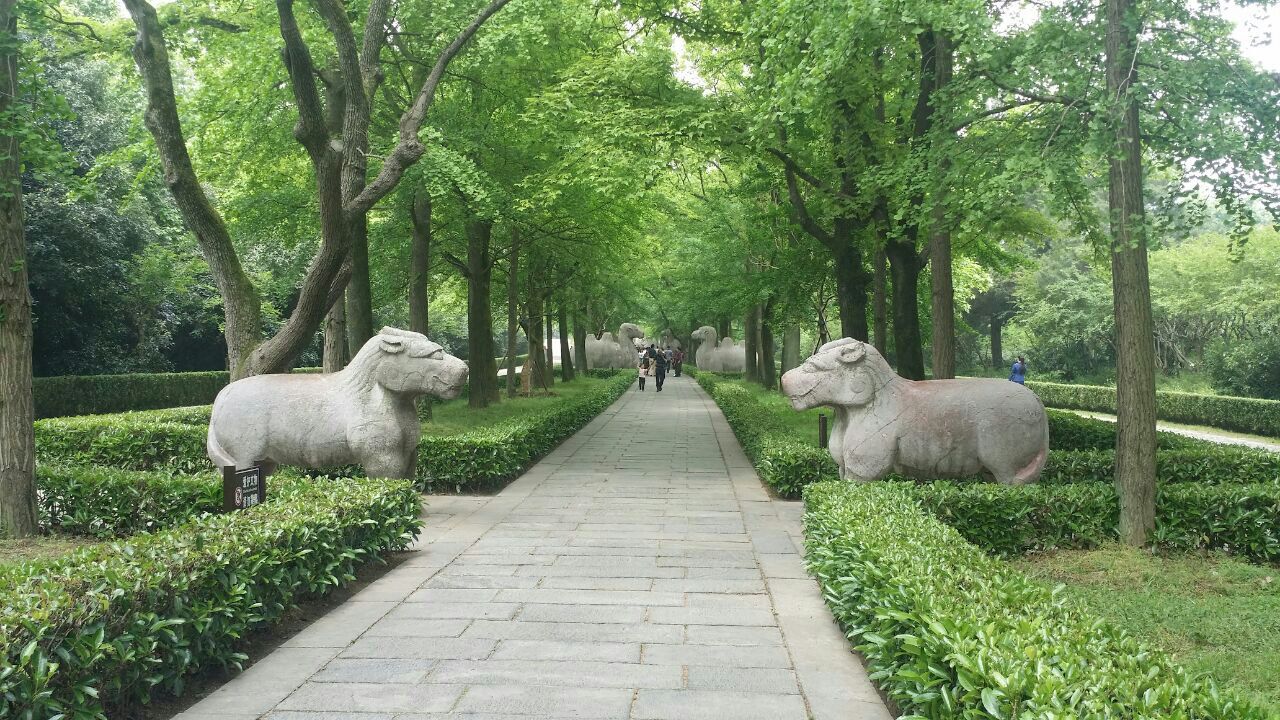 南京钟山风景名胜区好玩吗,南京钟山风景名胜区景点怎么样_点评_评价