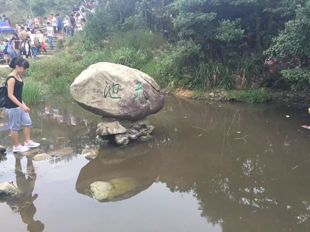 梧桐山
