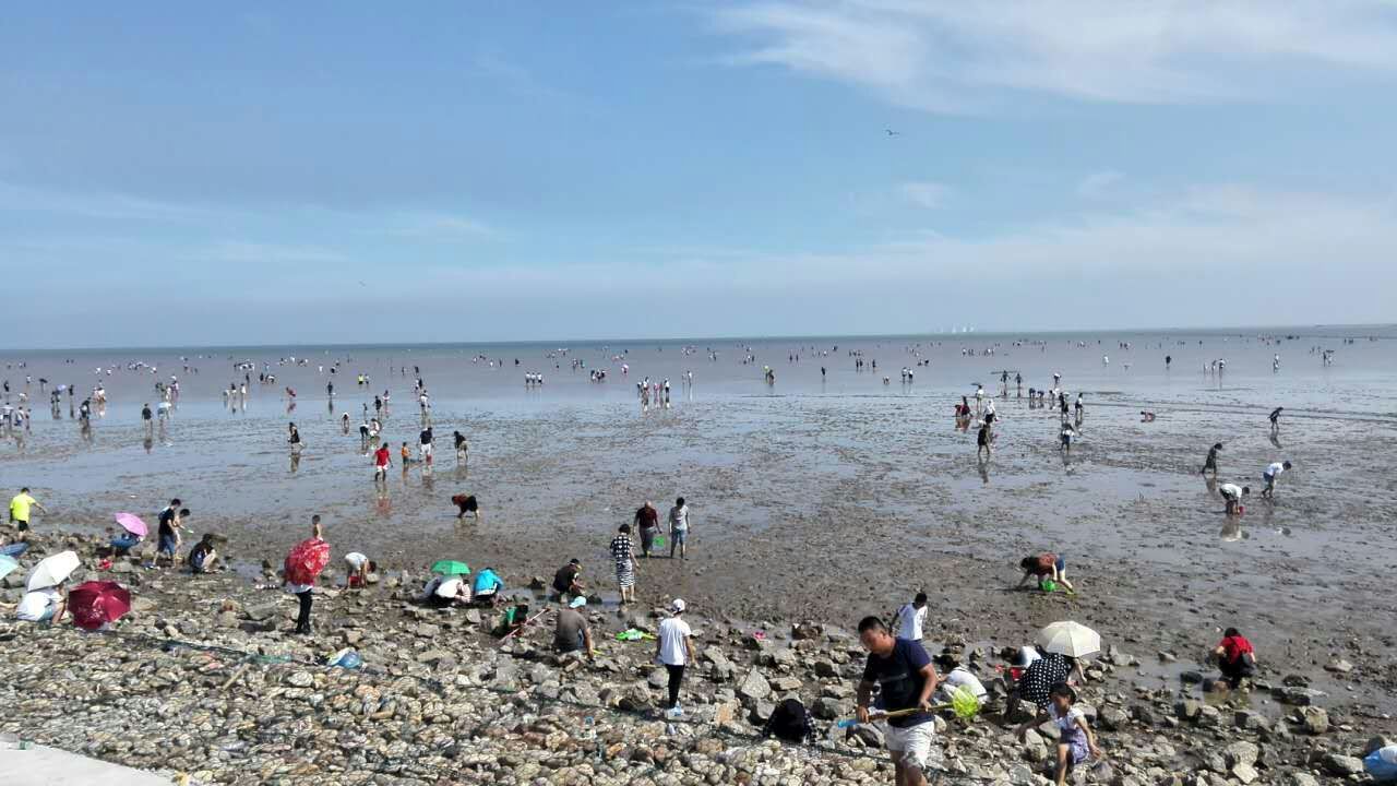 【携程攻略】海滨浴场门票,天津海滨浴场攻略/地址