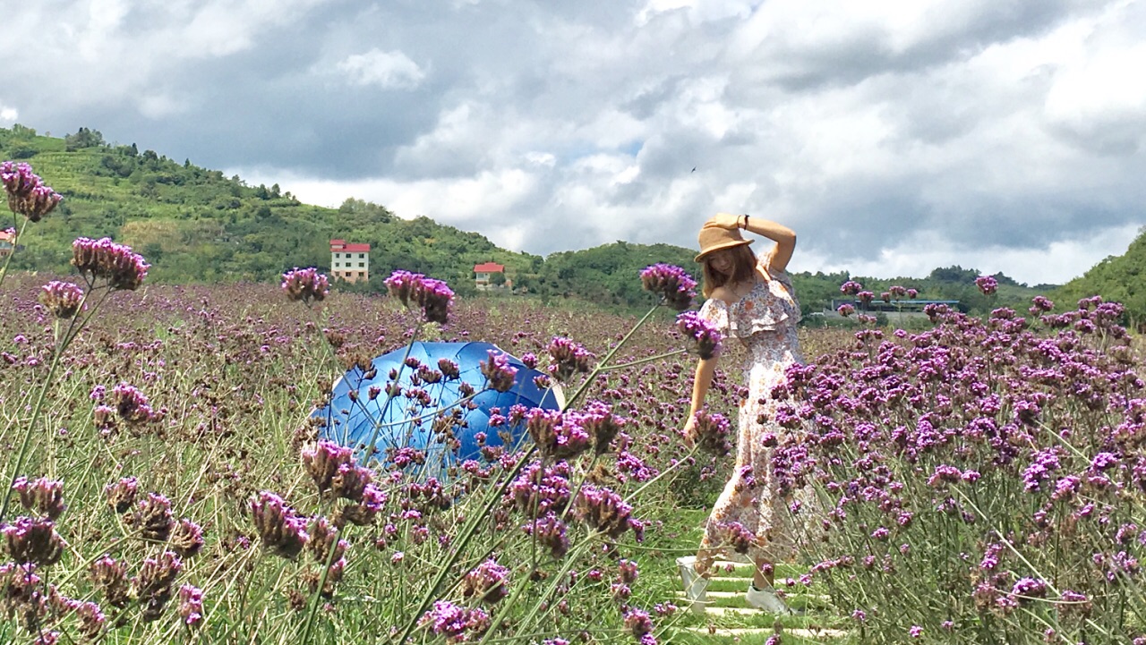 黔北花海旅游景点攻略图