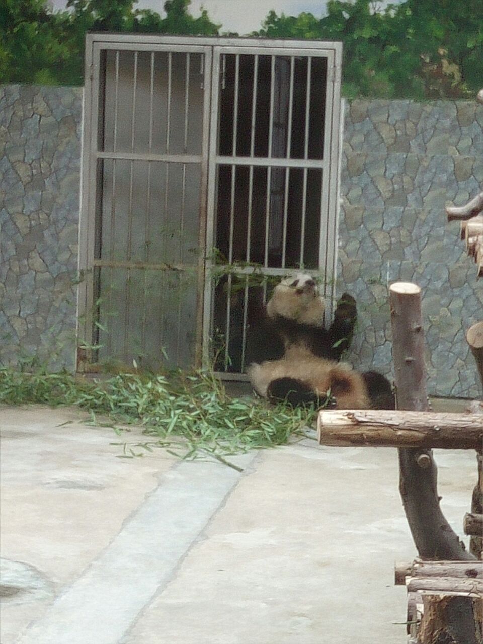 秦岭野生动物园