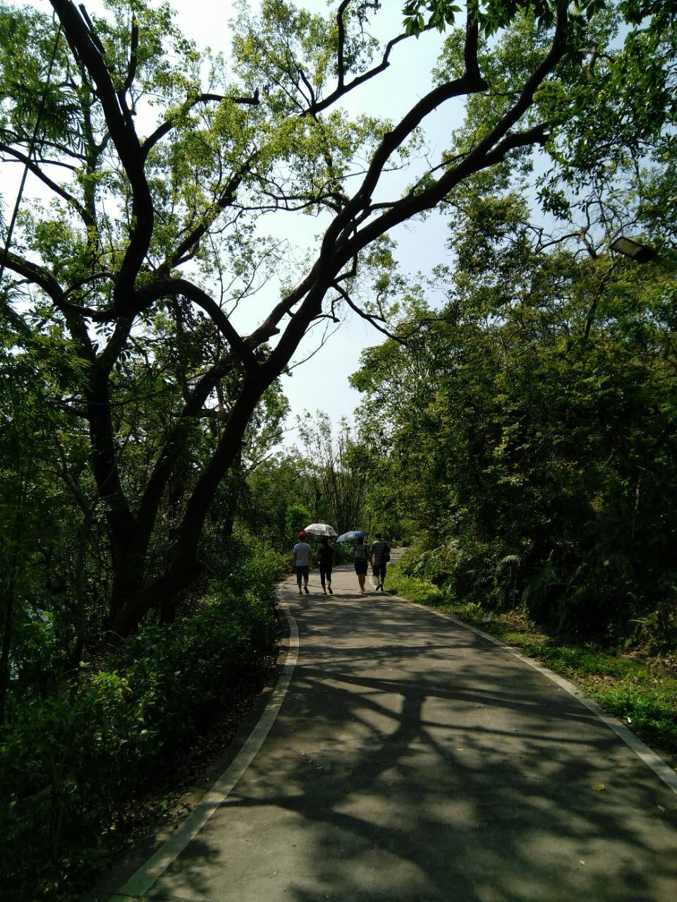 台山石花山公园攻略,台山石花山公园门票/游玩攻略/地址/图片/门票