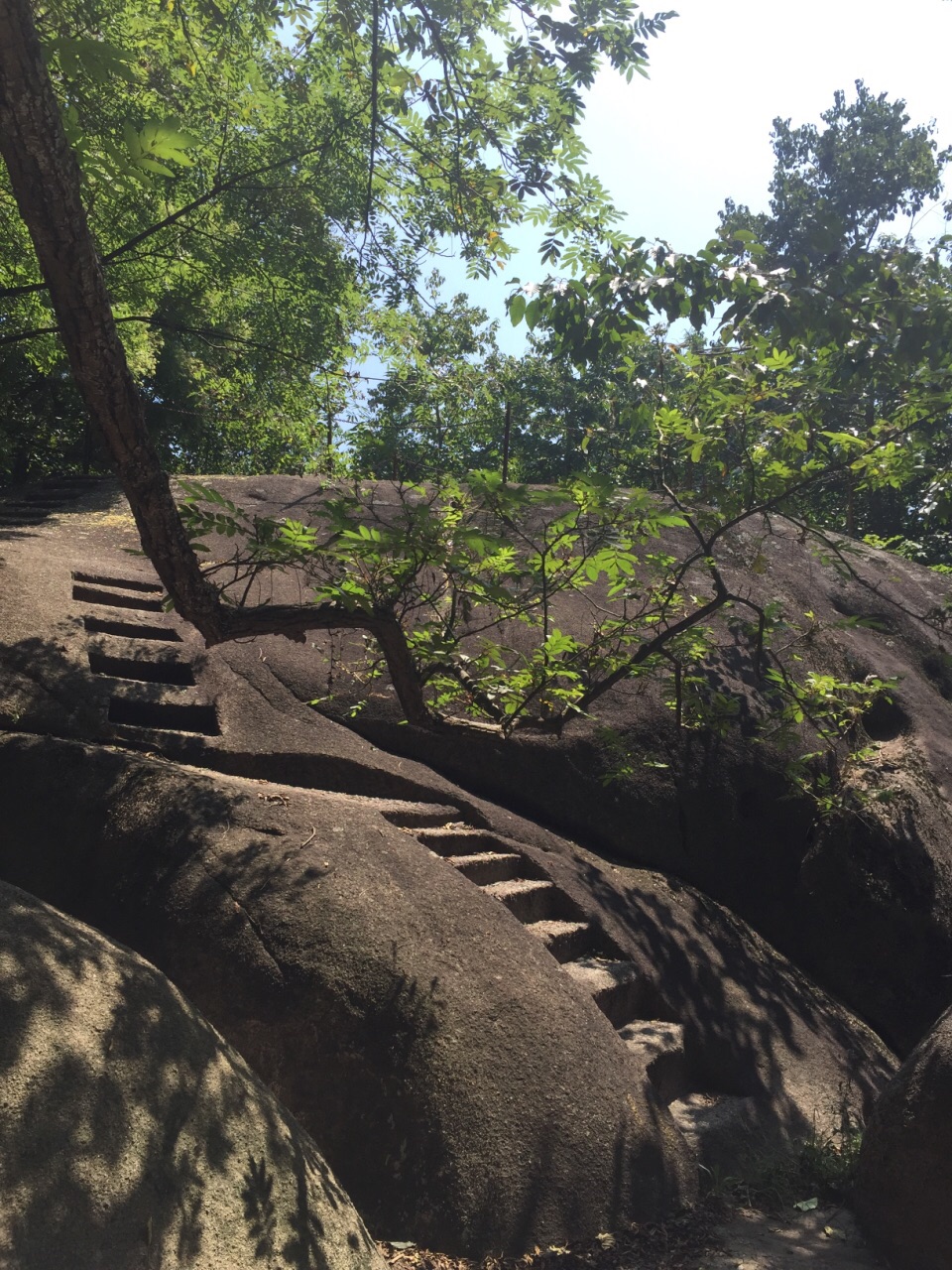 大龙山乌龙溪景区