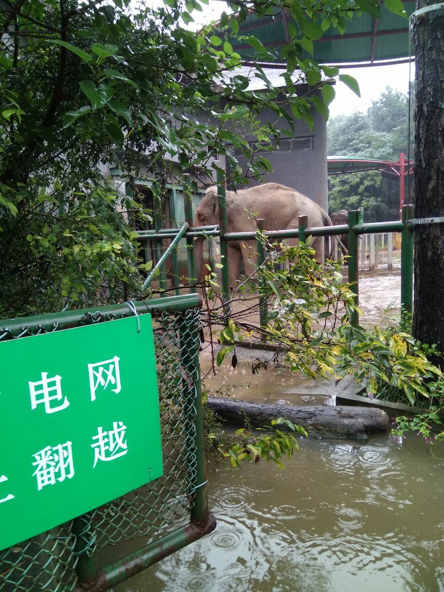 南京红山森林动物园好玩吗,南京红山森林动物园景点样