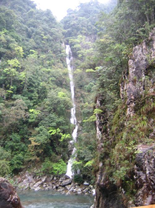 【携程攻略】安远三百山风景名胜区景点,三百山国家省