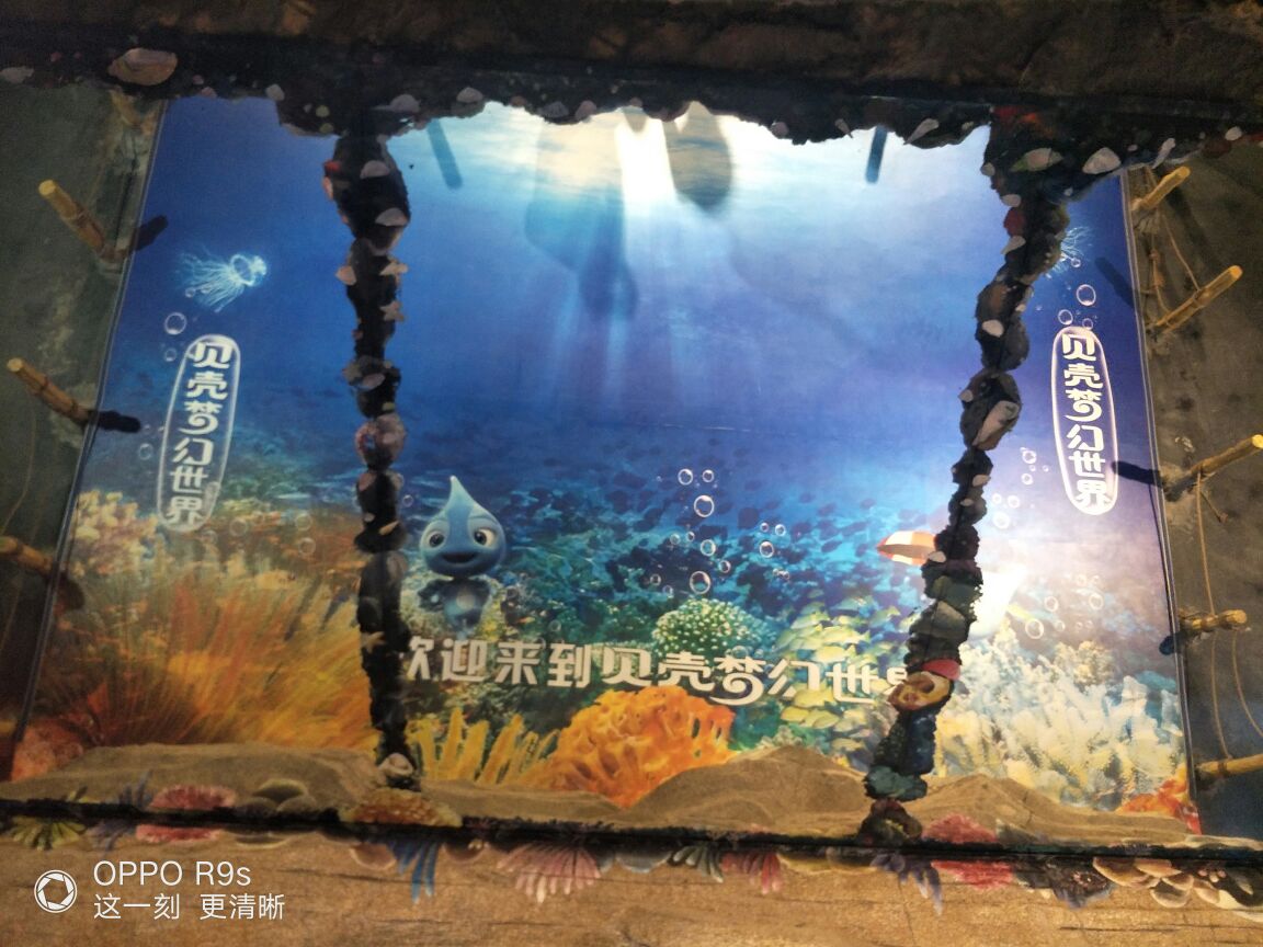 贝壳梦幻世界