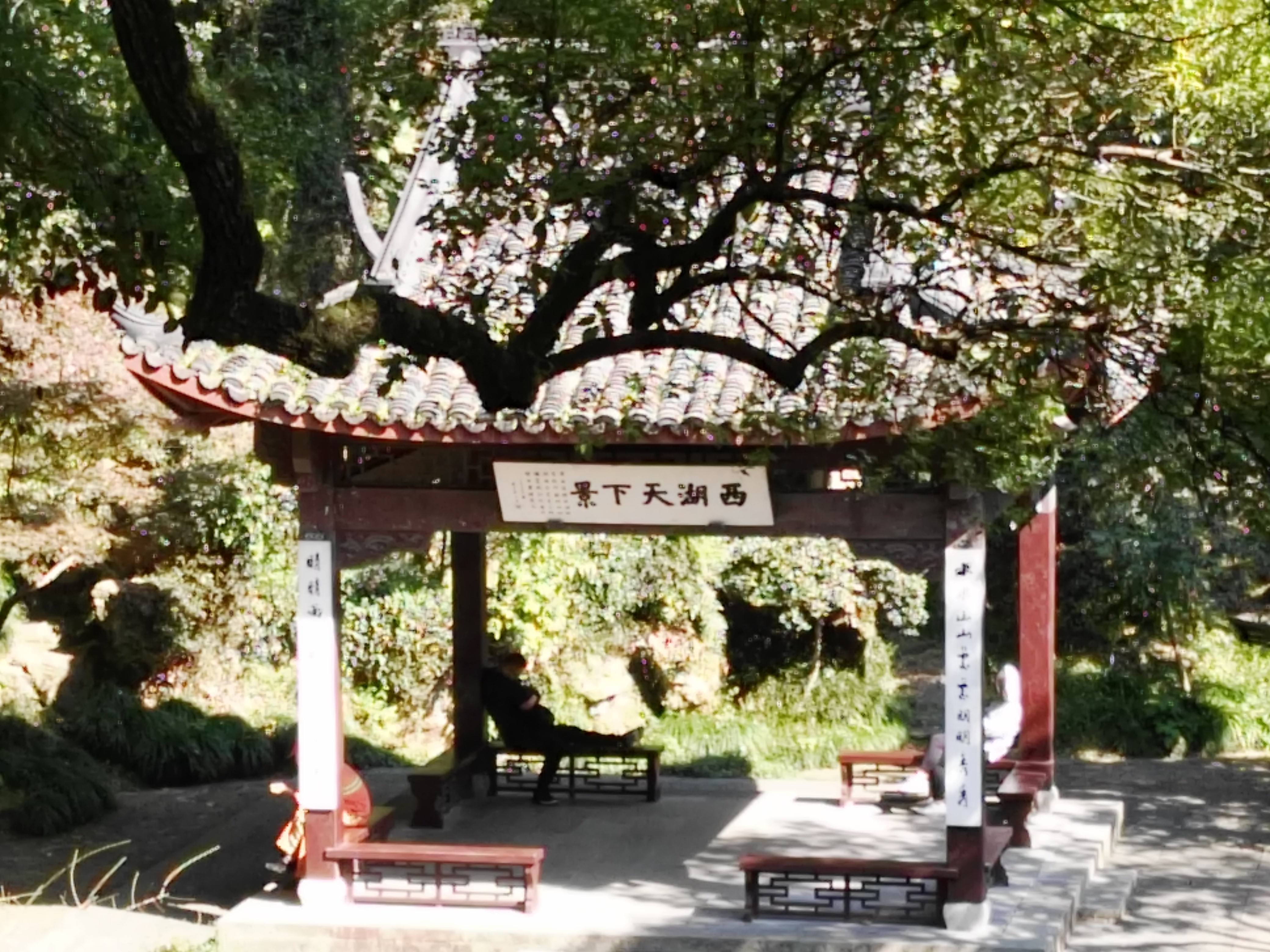 杭州西湖畔免票景点之九(中山公园)