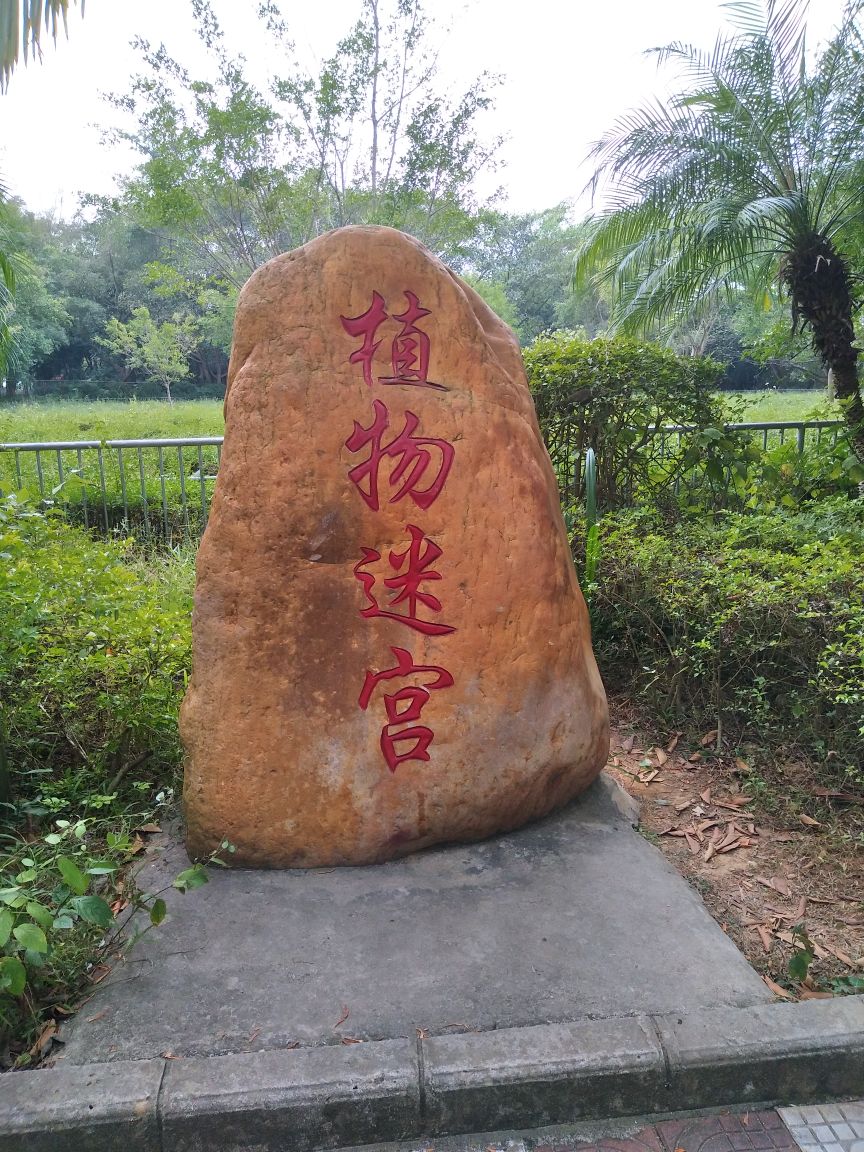 茂名森林公园