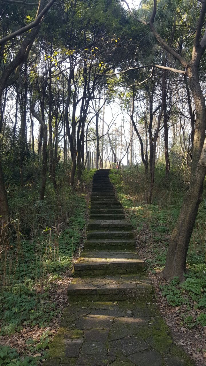 慈溪达蓬山仙佛谷景区攻略,慈溪达蓬山仙佛谷景区门票