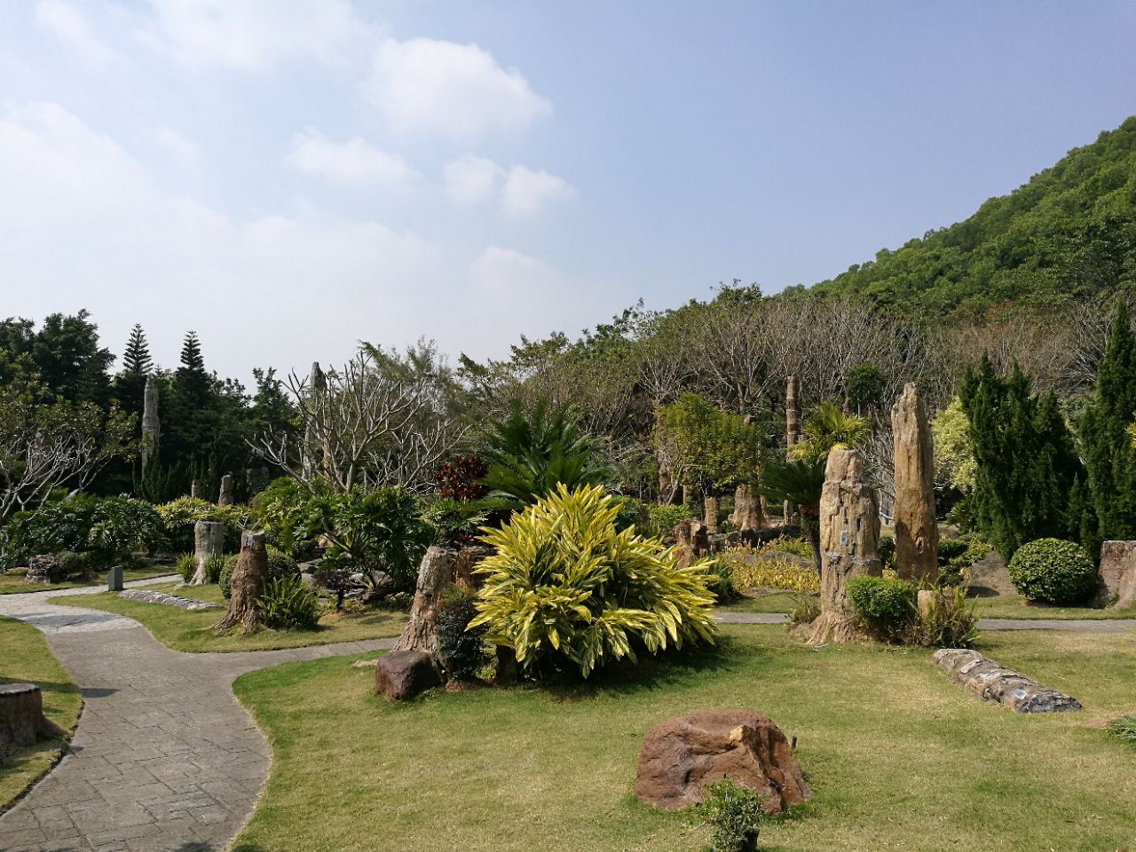 深圳仙湖植物园好玩吗,深圳仙湖植物园景点怎么样