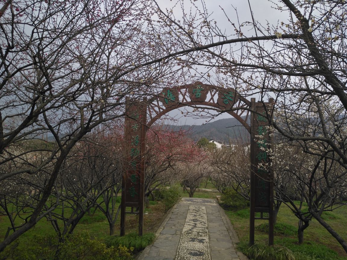 2019香雪海_旅游攻略_门票_地址_游记点评,苏州旅游景点推荐 去哪儿