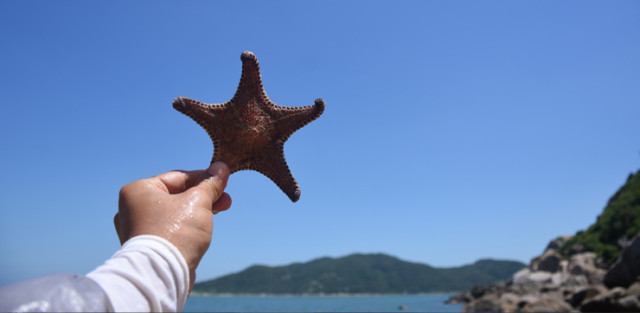 南澳岛旅游大陆之休闲攻略渔船出海一日游亚伦兵游艇的佣攻略图片