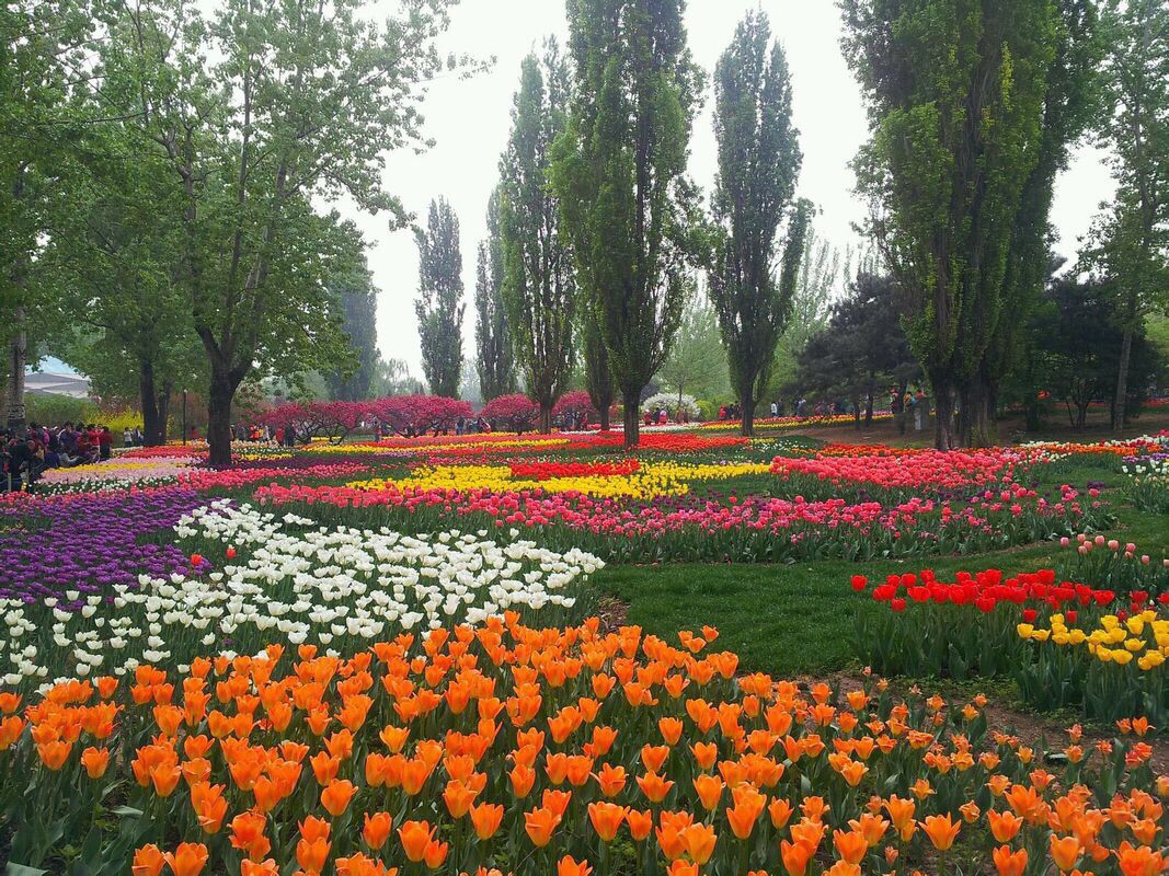 北京植物园