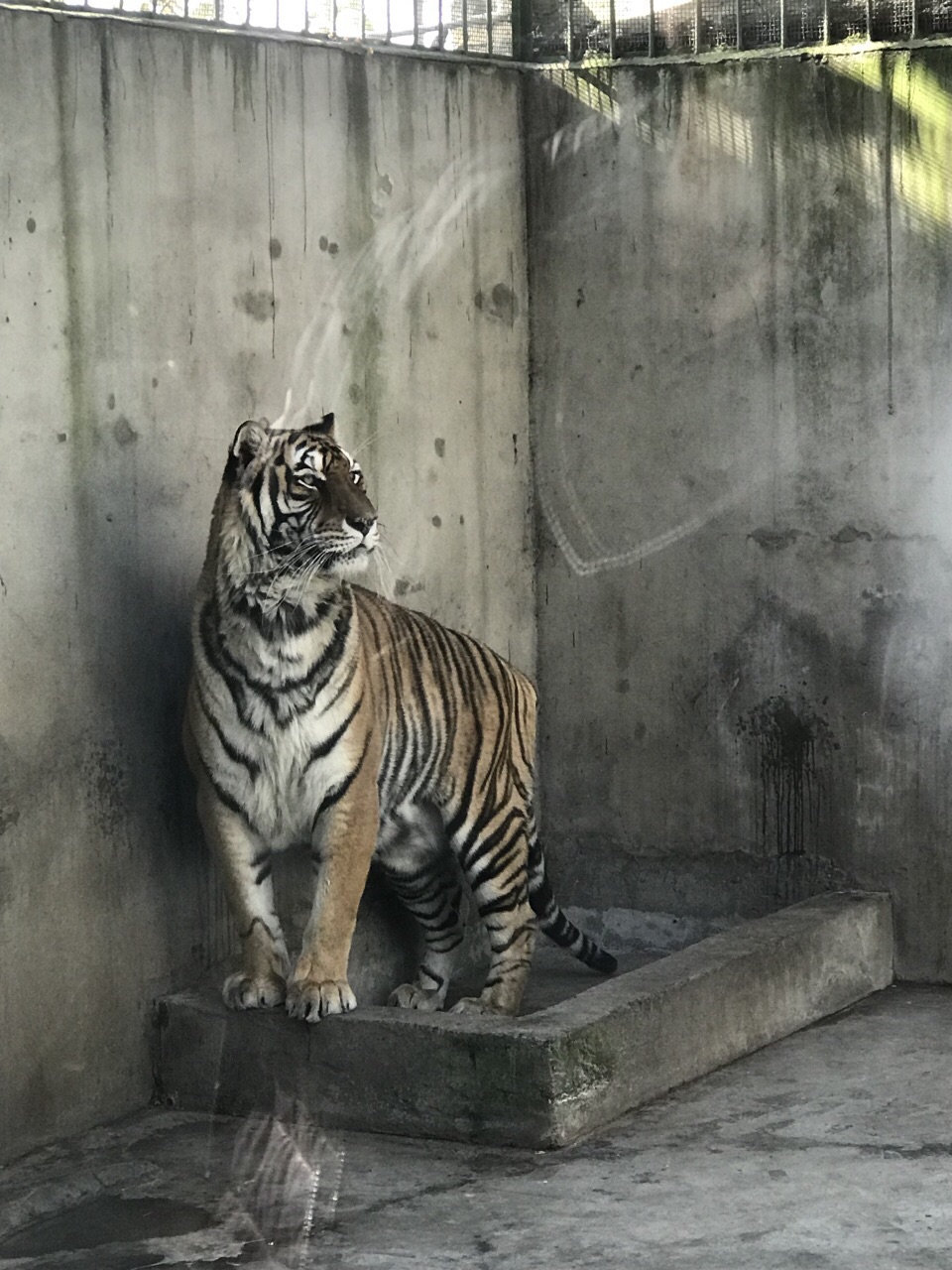 绵阳动物园