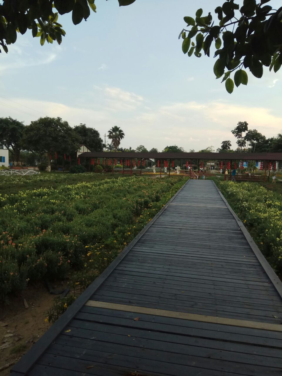 广州花都香草世界好玩吗,广州花都香草世界景点怎么样