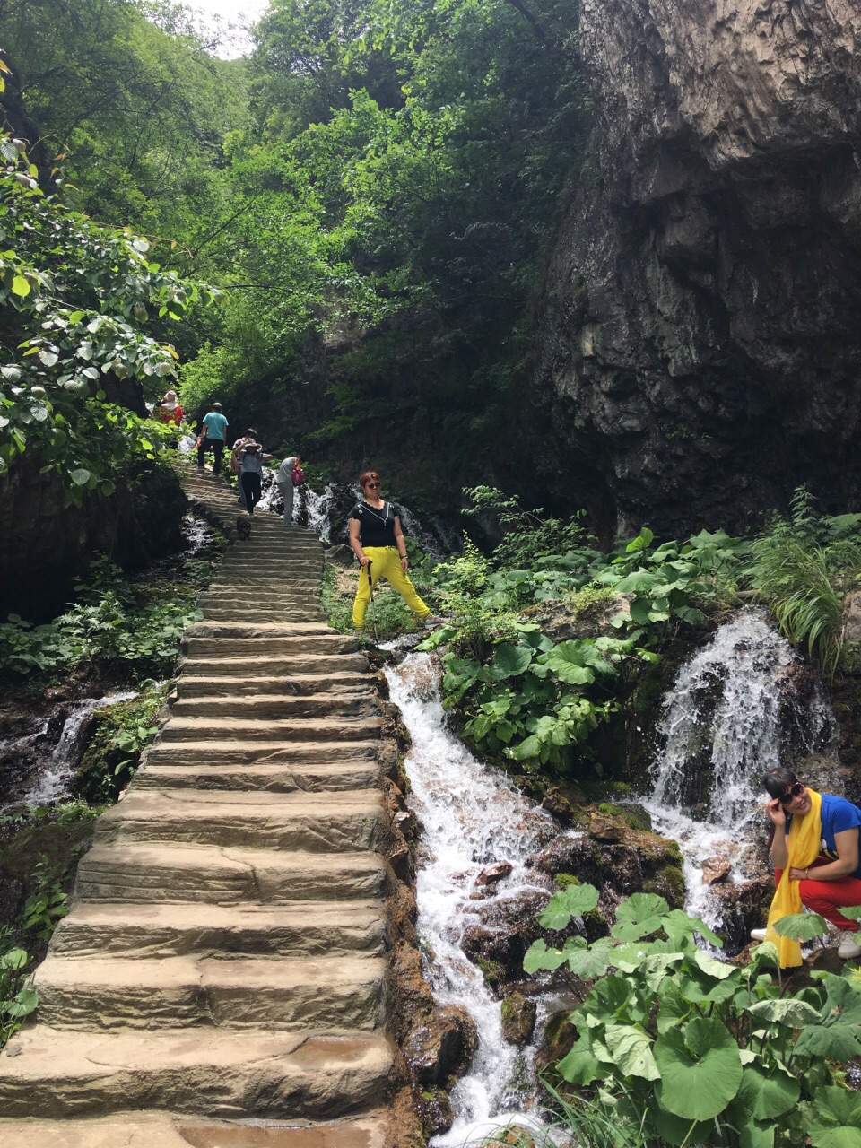 栾川王府竹海度假旅游区攻略,栾川王府竹海度假旅游区