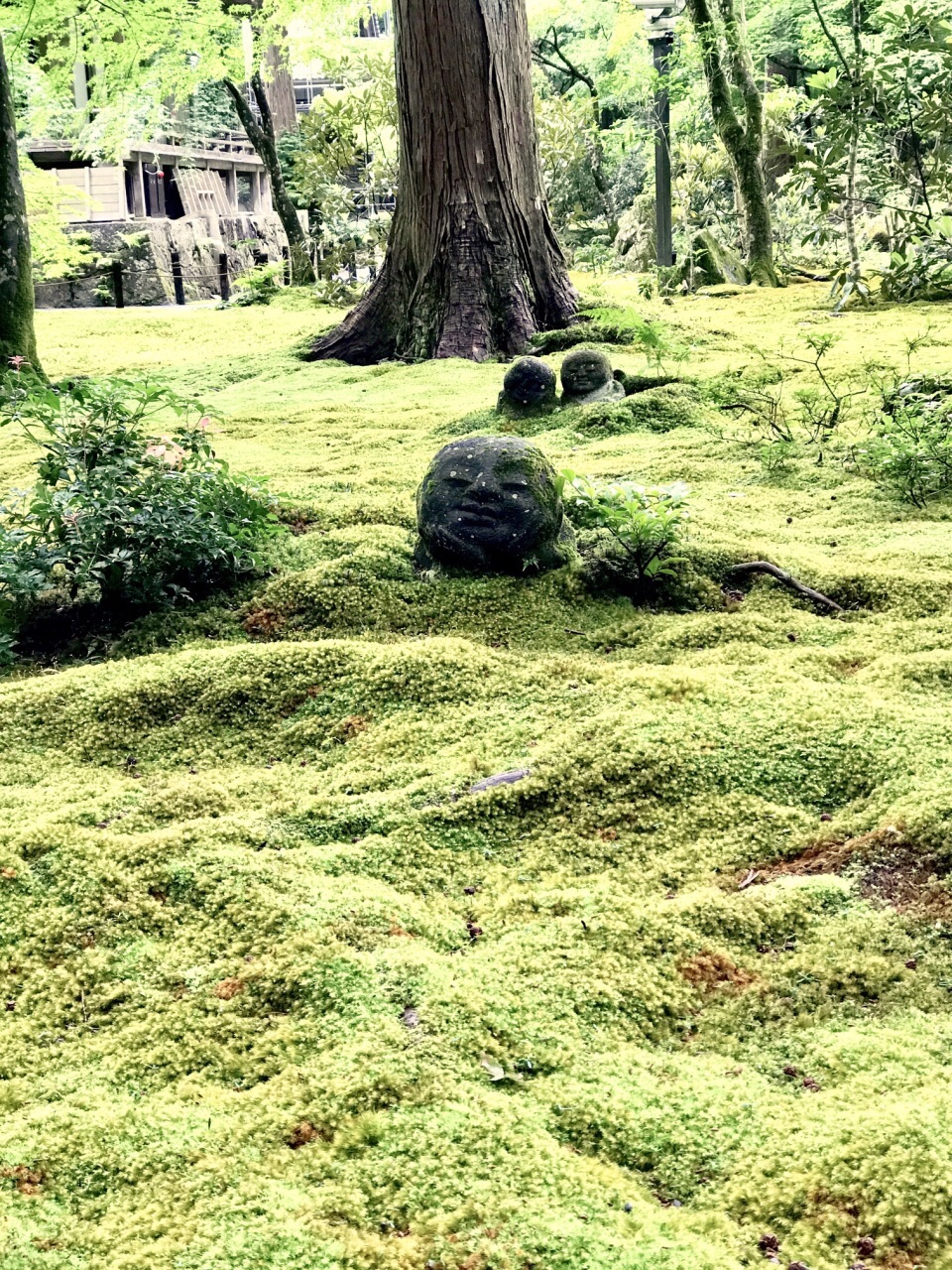 三千院