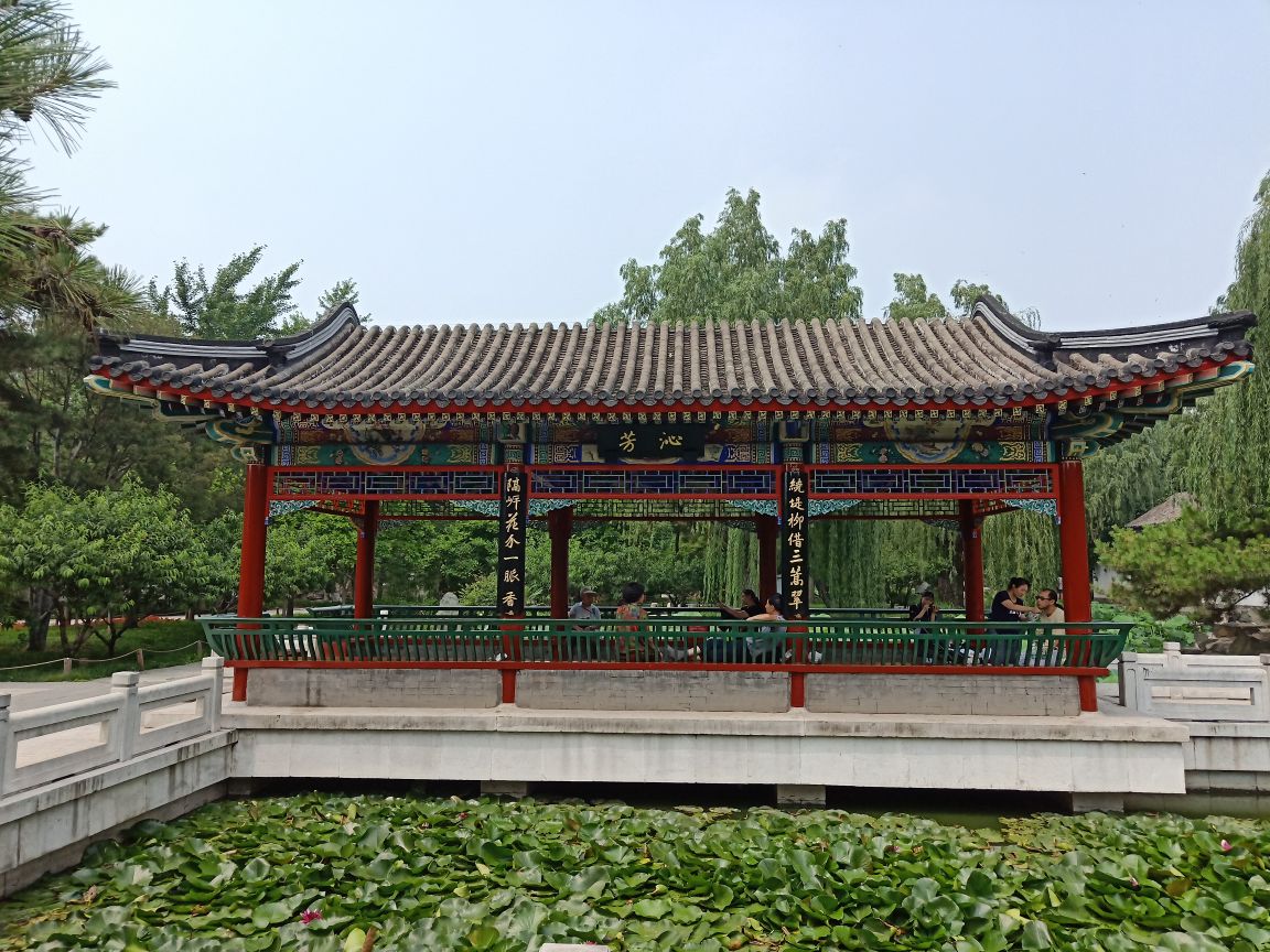 大观园