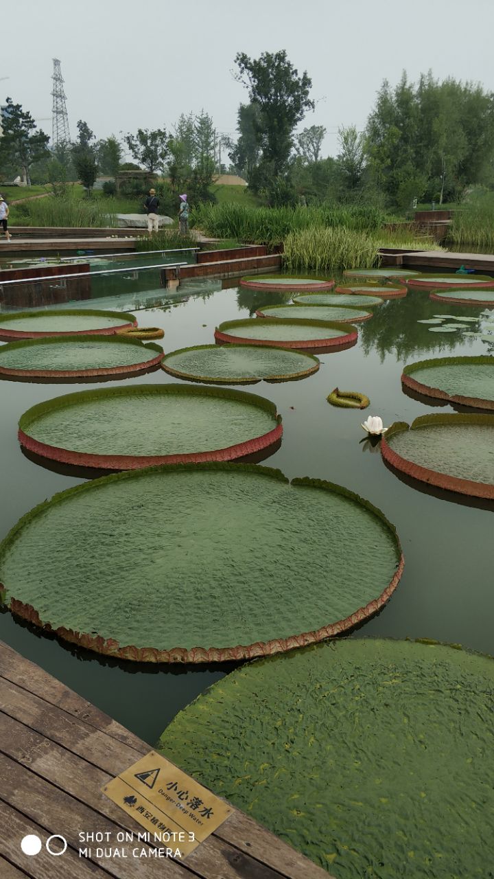 西安植物园新区