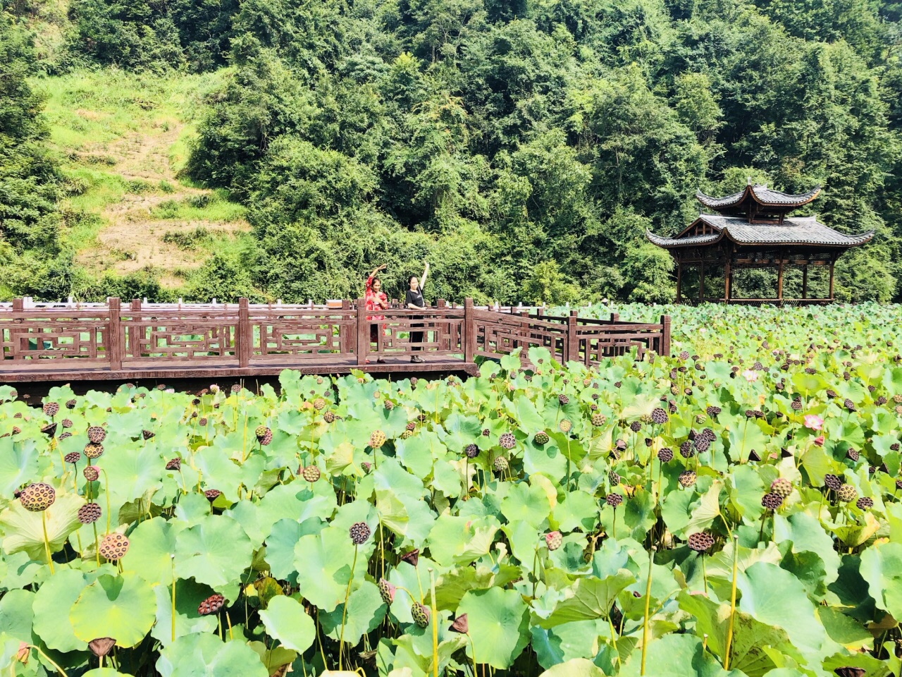 独山净心谷好玩吗,独山净心谷景点怎么样_点评_评价