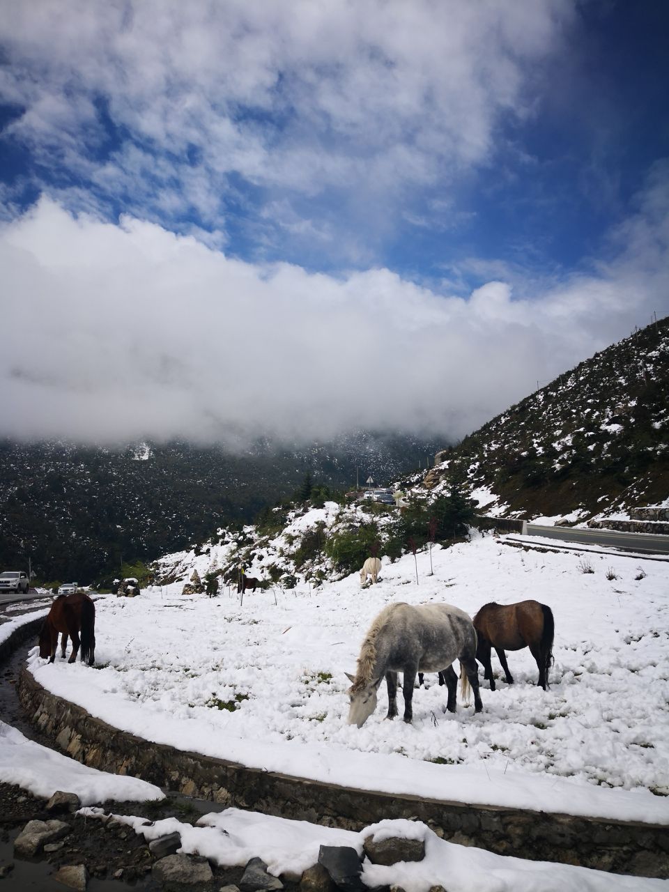 折多山