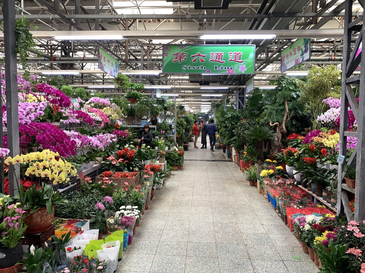 北京莱太花卉(三元桥店)怎么样/如何去,莱太花卉(三元