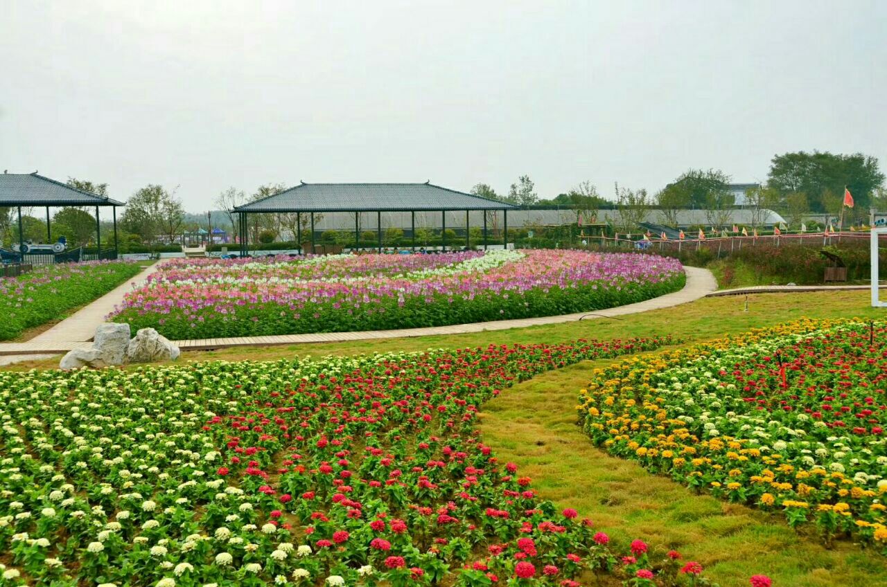 枝江同心花海好玩吗,枝江同心花海景点怎么样_点评