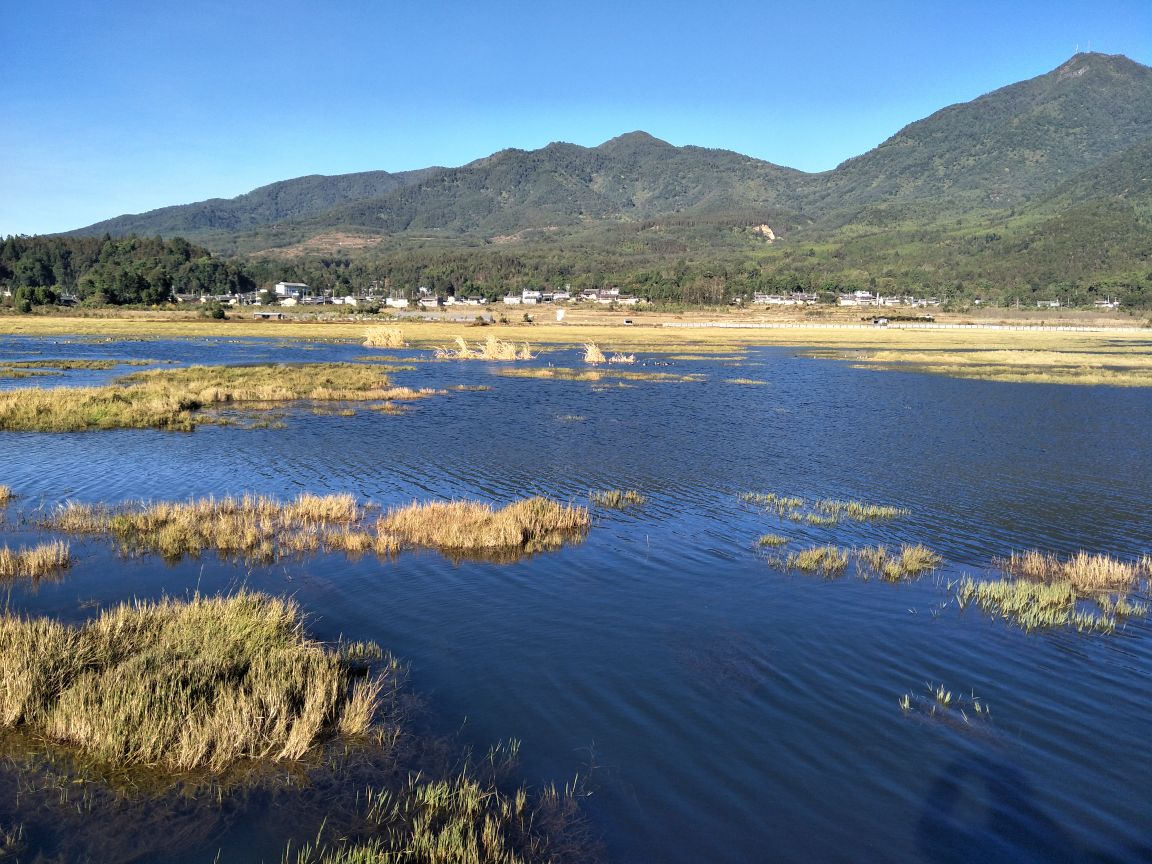 北海湿地我们早上去的,太凉了,下午去比较合适,草排,踩草,还有踩鱼很