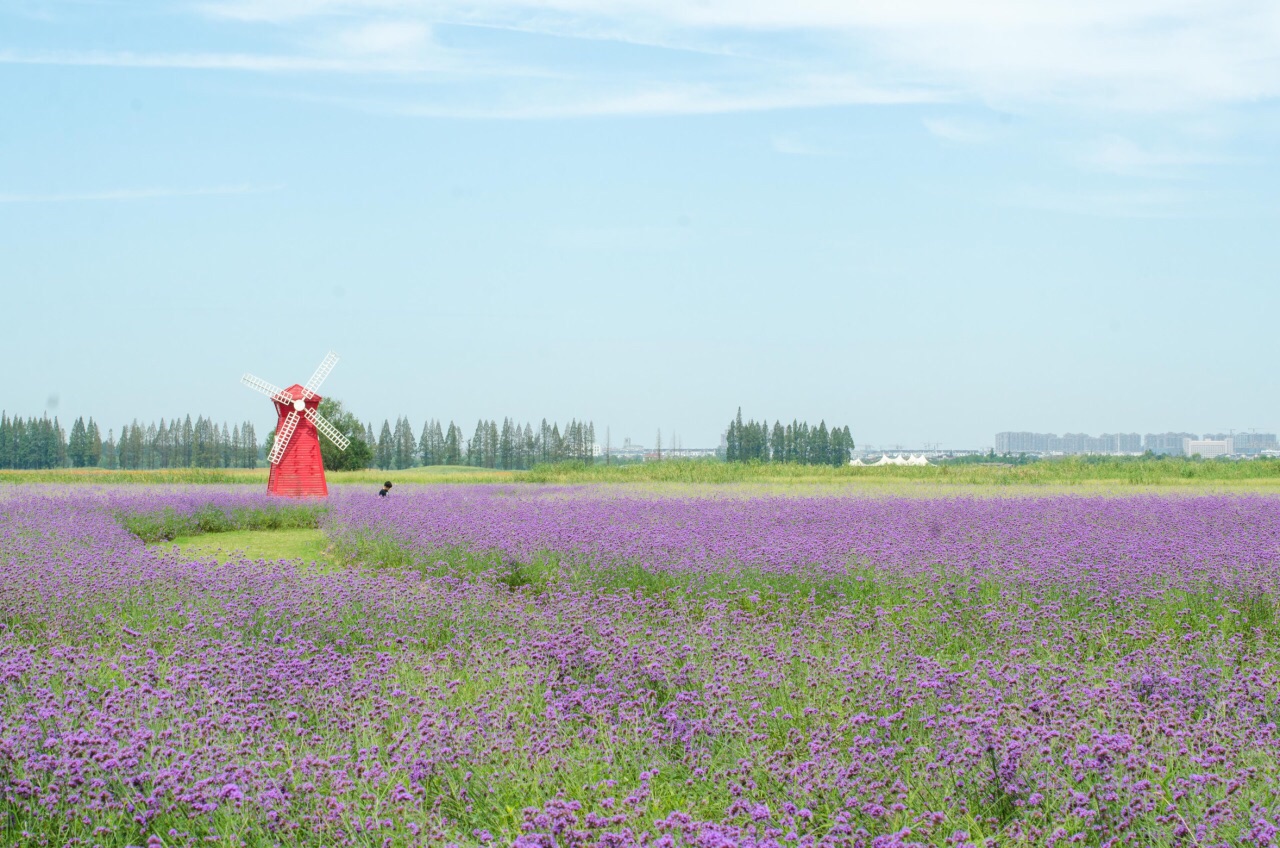 南京高淳国际慢城好玩吗,南京高淳国际慢城景点怎么样