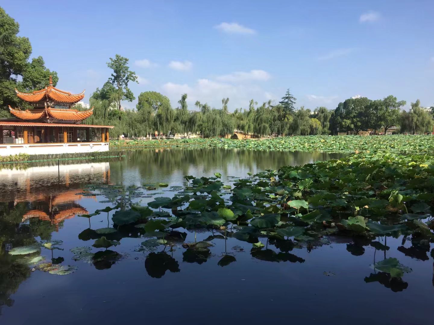 翠湖公园旅游景点攻略图
