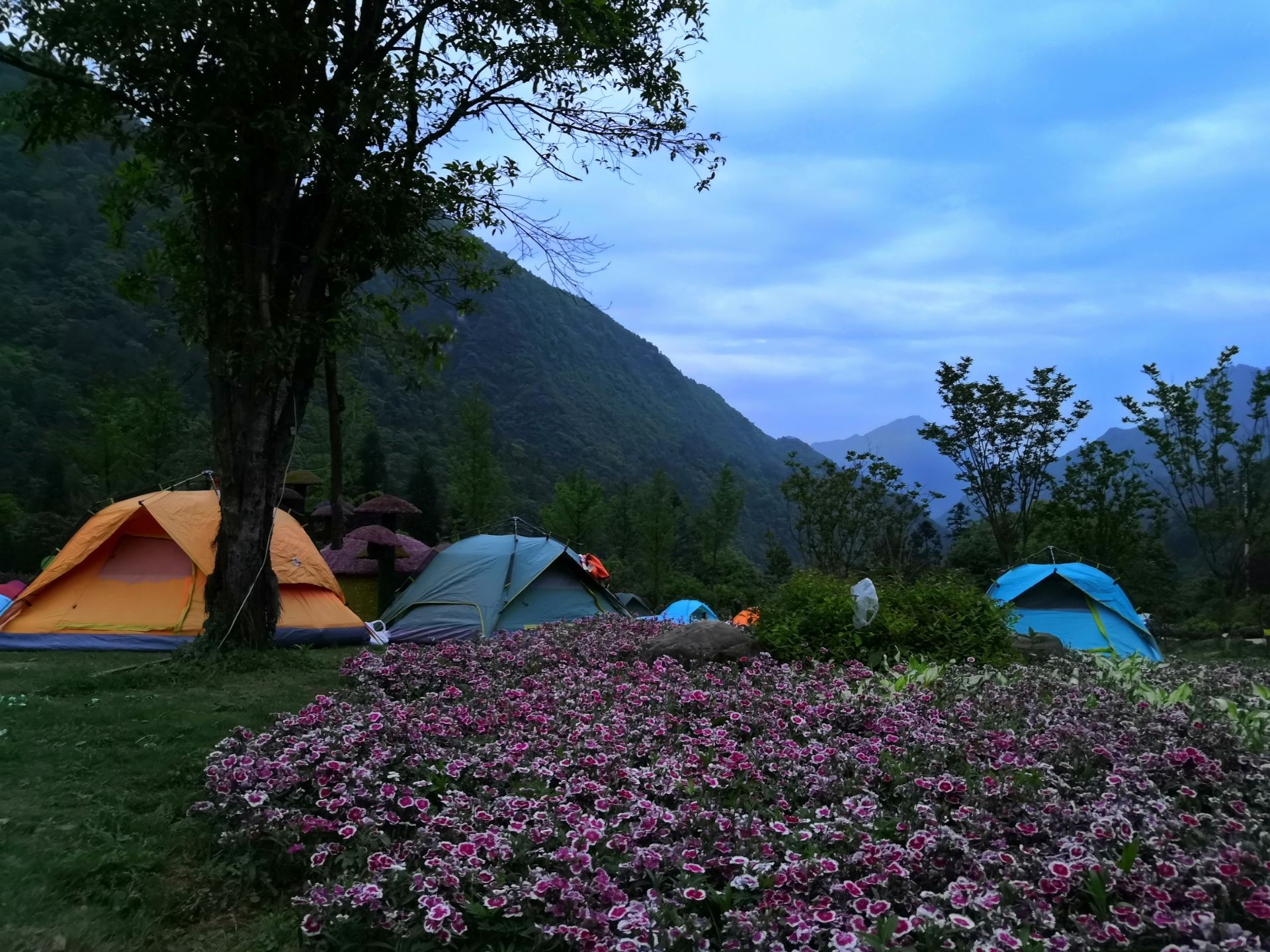 百花谷旅游度假区